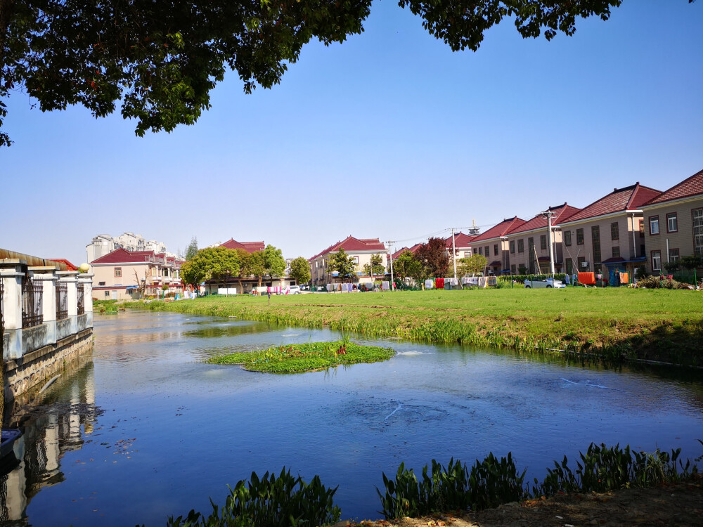 安亭曹新路小风景