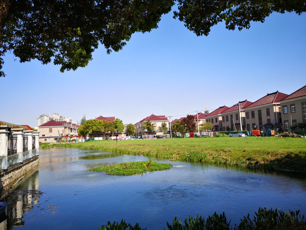 安亭曹新路小风景