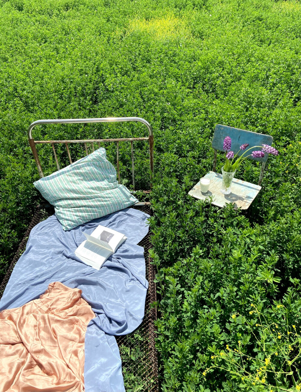 夏日 草地 床 清新