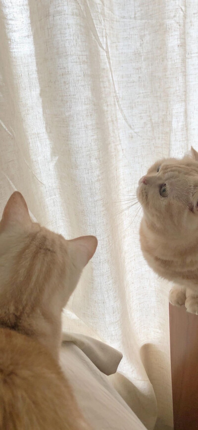 锁屏壁纸~拿图礼貌点赞哦