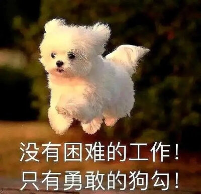 冒个泡泡๑
