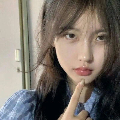人间枝头 各自乘流