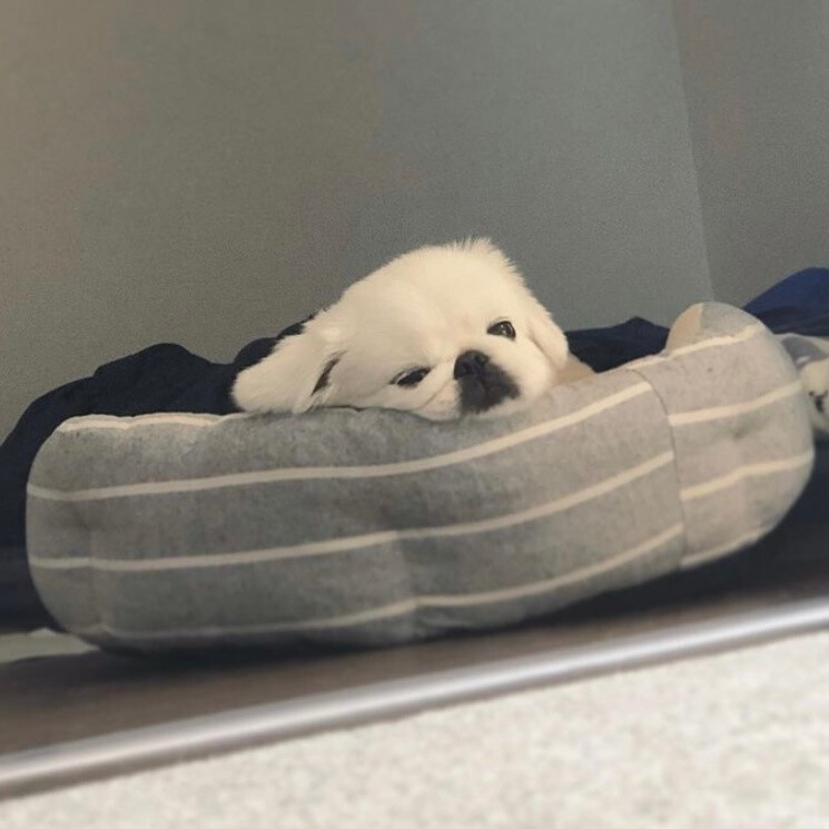 ————
——每天都好困