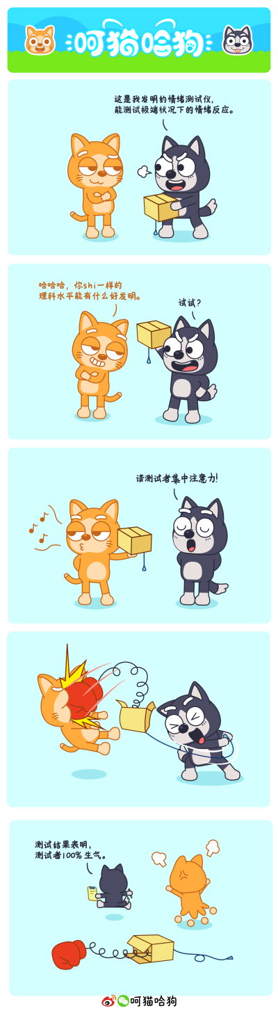 呵猫哈狗，呵呵猫，猫，哈哈狗，狗，漫画，图片