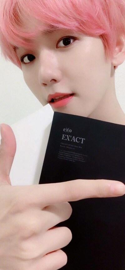 边伯贤 图cr：logo/网络 侵删