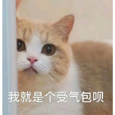 略略略