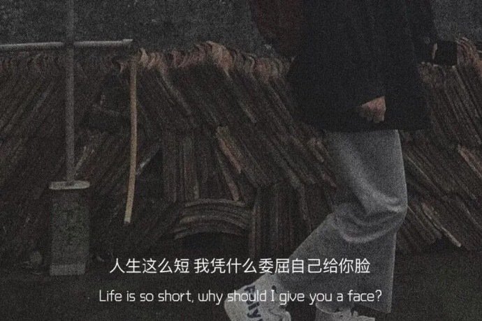 不期待任何人 也不被任何人期待