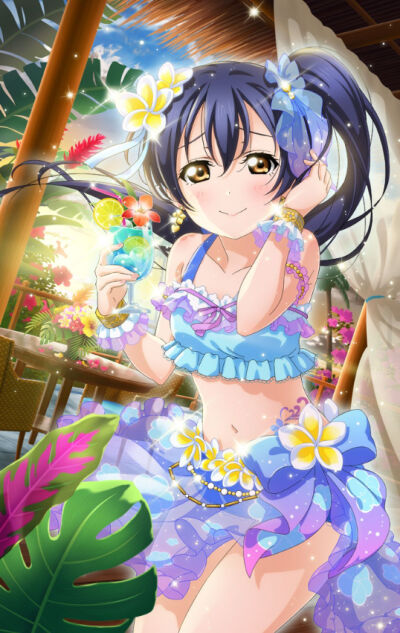 Love Live! School Idol Project-μ's-tropical pareo-flower tyrol-steam peak