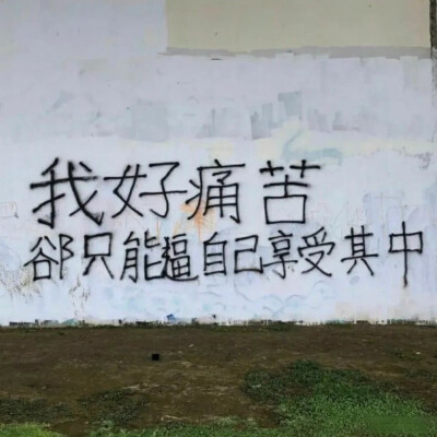 朋友圈背景图
背景图
墙体文字