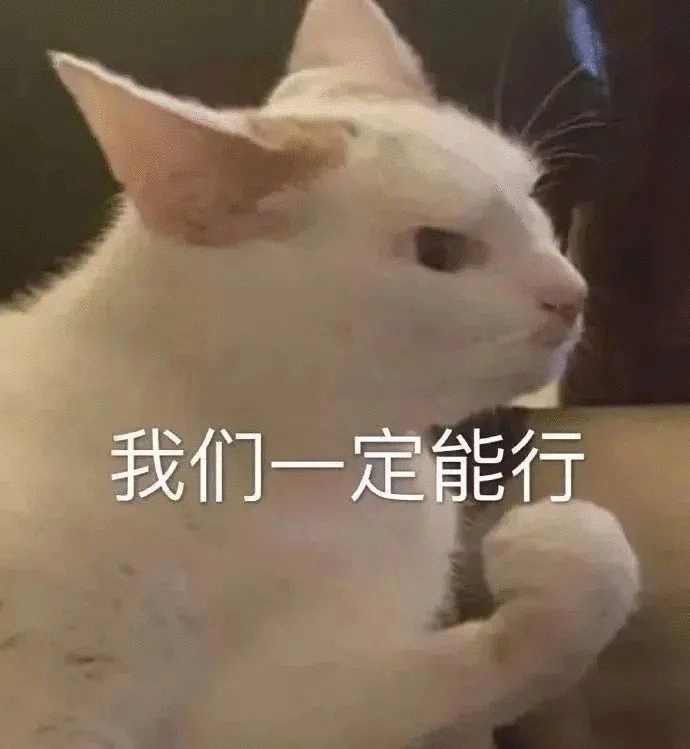 猫猫可爱表情包