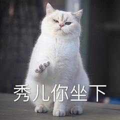 猫猫表情包秀儿你坐下