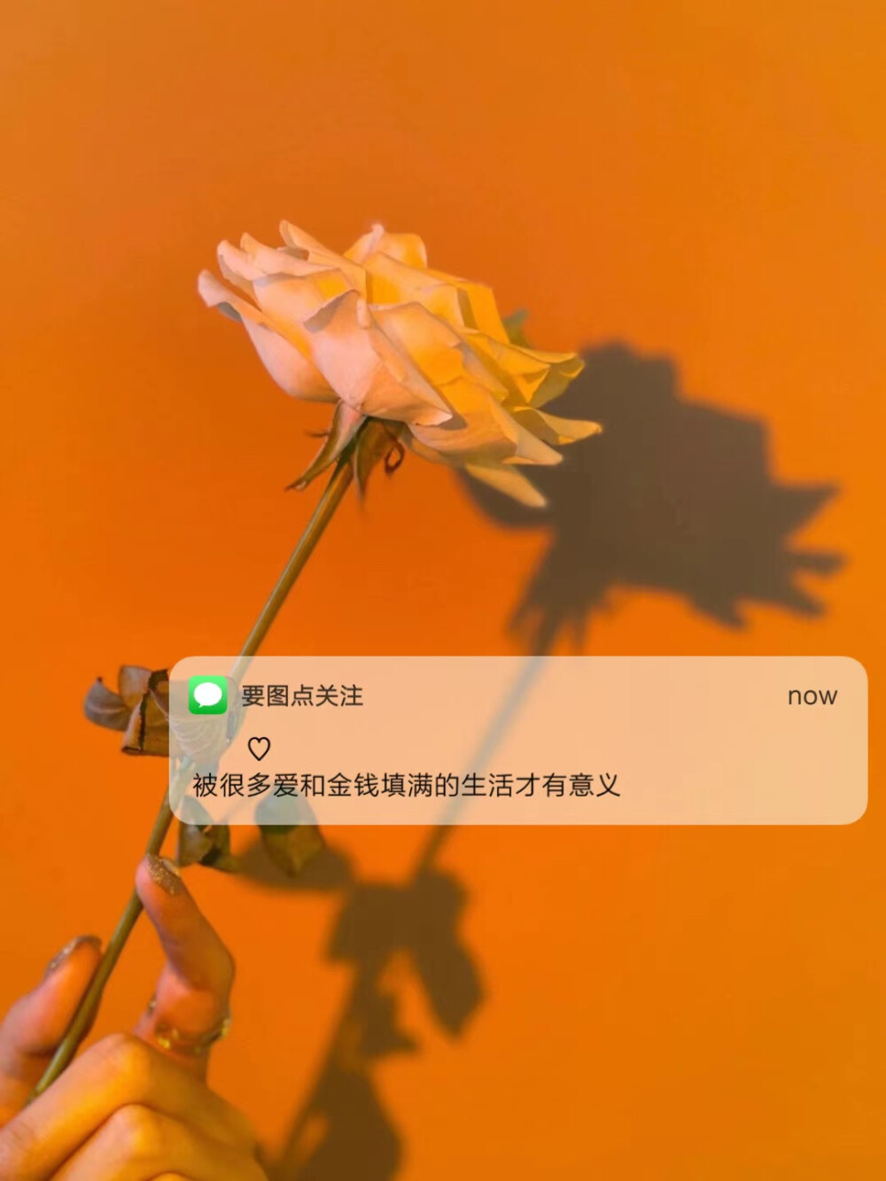 没必要和没必要人说没必要话