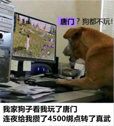 唐门