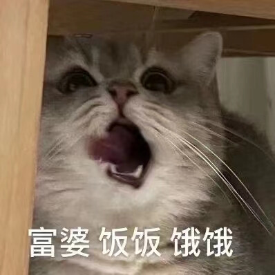 喵啊