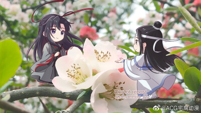 忘羡
