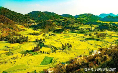 美丽的风景