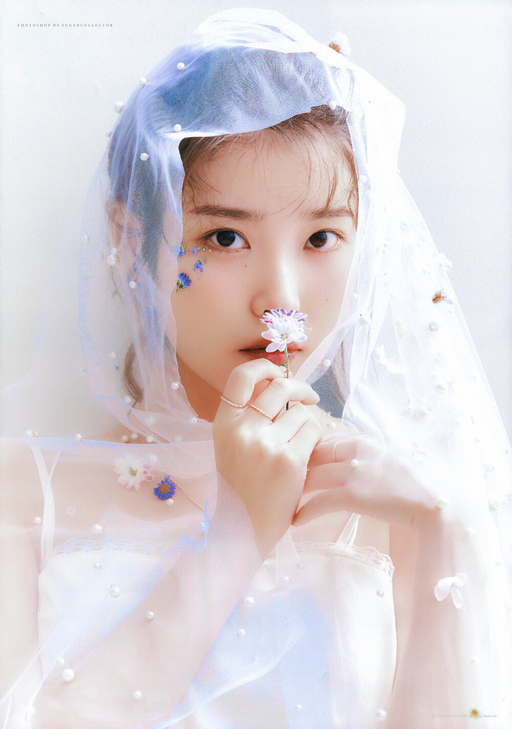 IU 李知恩 cr：砂糖收藏家
欧尼就是春天啊~