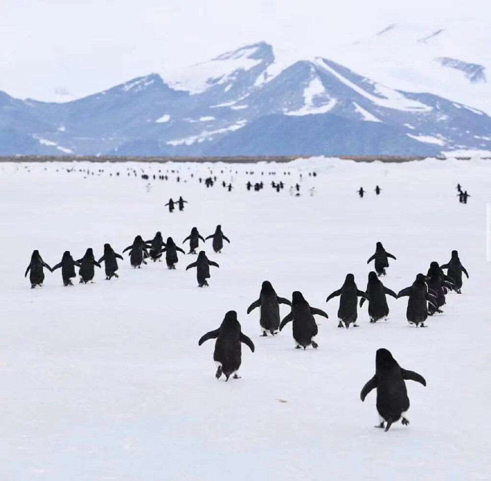 可爱简约情侣男女闺蜜头像