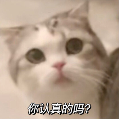 猫咪表情