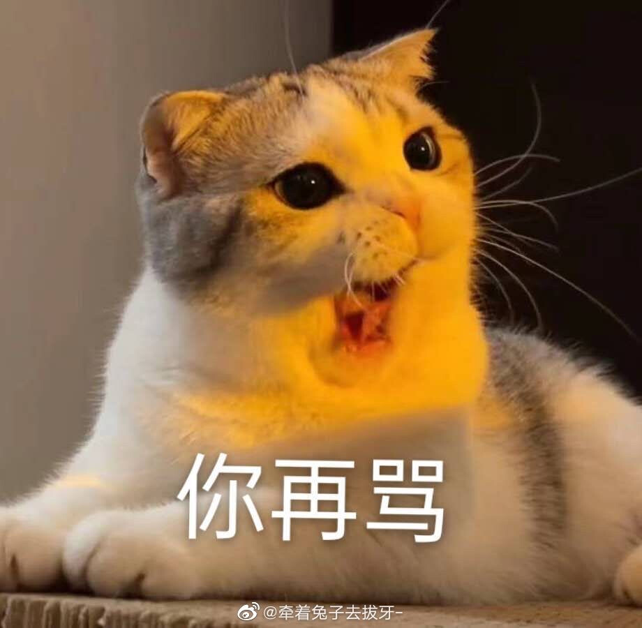 猫咪表情