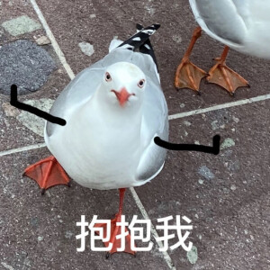 沙雕姐妹斗图表情包 赞 评论 收藏 更多 发布至专辑 闺蜜斗图 7张