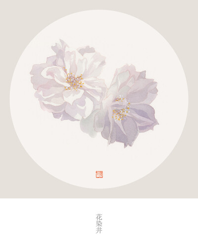 水彩樱花 作者：鹿菏HE ​