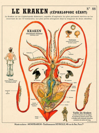 奇奇怪怪的生物
Camille Renversades ​​​[/cp]