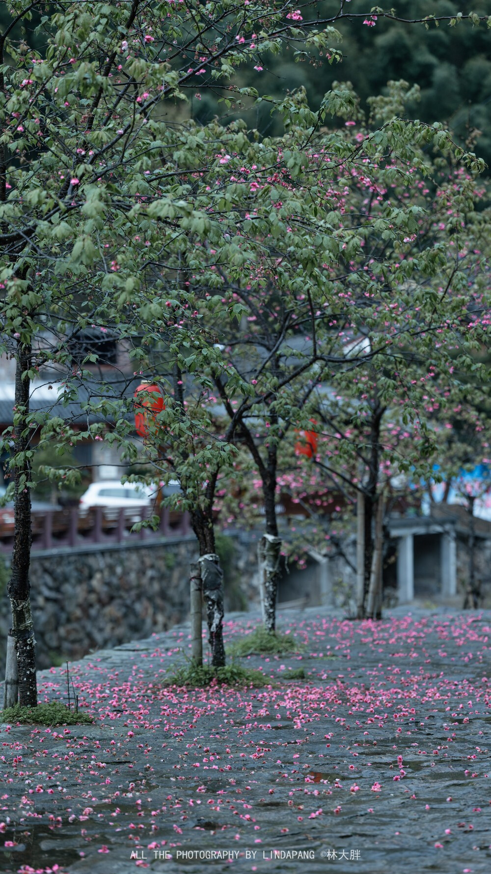 烟雨之下的江南格外有意境