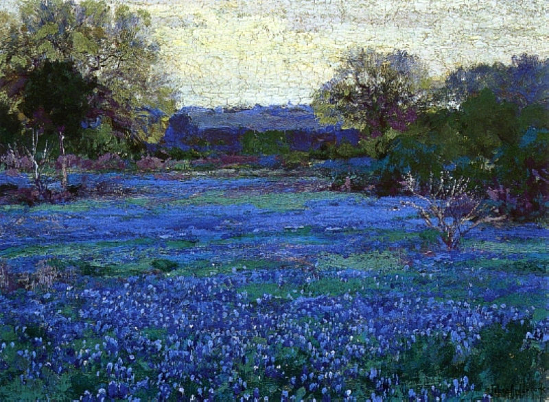 美国印象派画家Robert Julian Onderdonk（1882-1922）一生经济状况不佳，40岁于故乡德克萨斯州离世，留下大量油画作品，关于他眼中故乡的蓝色矢车菊