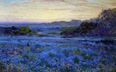 美国印象派画家Robert Julian Onderdonk（1882-1922）一生经济状况不佳，40岁于故乡德克萨斯州离世，留下大量油画作品，关于他眼中故乡的蓝色矢车菊