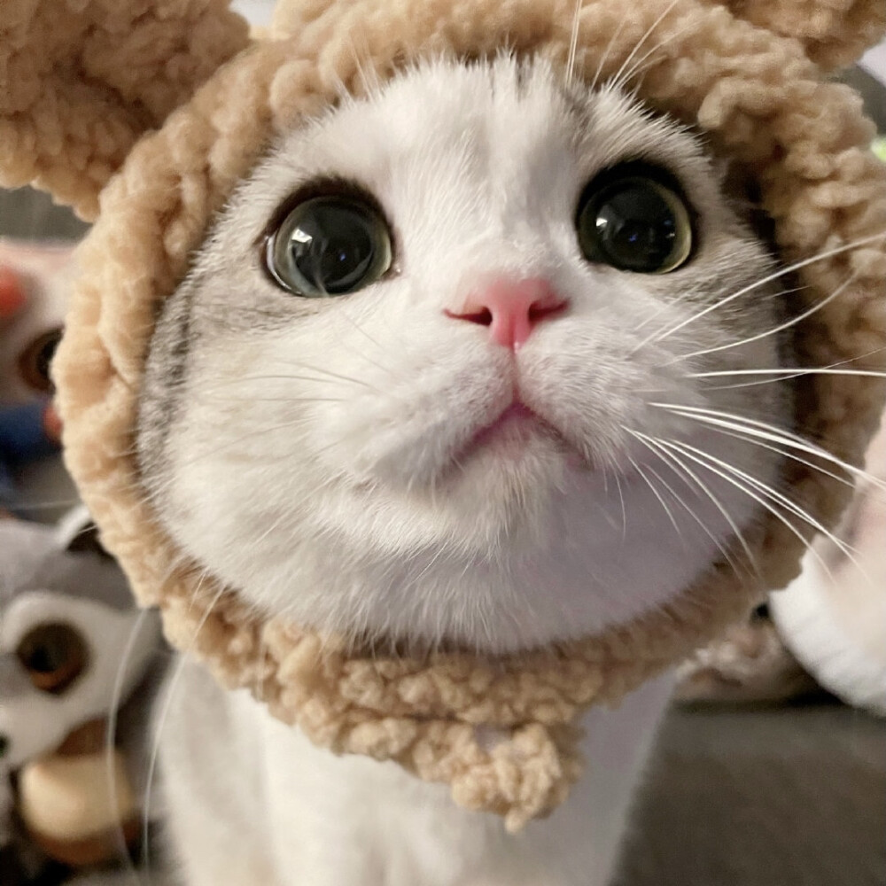 图源香香软软的小泡芙