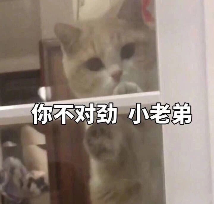 表情