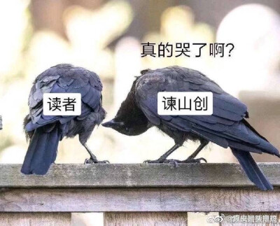 表情包