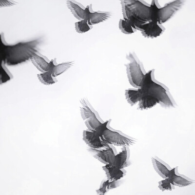 
Puppet show
/木偶戲/
