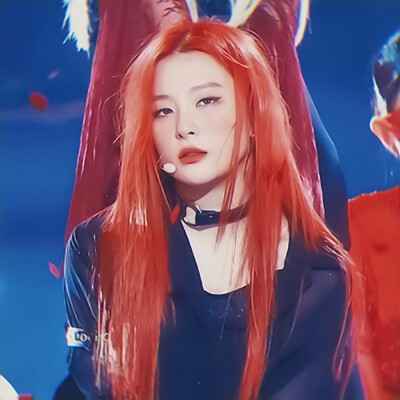  /
RedVelvet
许景