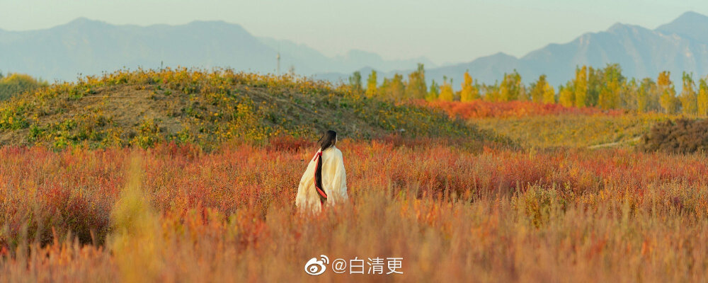 听说山那边，常年住着一位女子，遗世而独立。
摄影后期妆造：@白清更
出镜仙女：客妹
#北京约拍##汉服摄影##天津约拍##杭州约拍##上海约拍##苏州约拍##汉服写真##汉服##故宫# ​​​