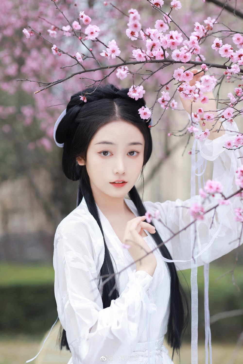 #重庆约拍#
「玉面似阳春」
摄影：@小西瓜芽_
出镜：@夏目千玲ovo
#汉服摄影##汉服约拍##汉服写真##汉服#