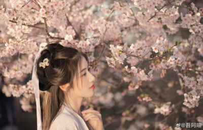 #汉服#
“ 花开枝头
春上心头。”
——春日的第一组片儿。
摄影：@吾阿喵
出镜：@大仙奶奶
汉服：@芥子记汉服工作室
#杭州约拍##苏州约拍##上海约拍##樱花# #樱花季第一张写真#