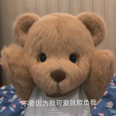 小熊