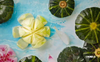 “食摄马也”摄影团队作品－二十四节气