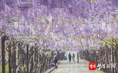 唯美风景