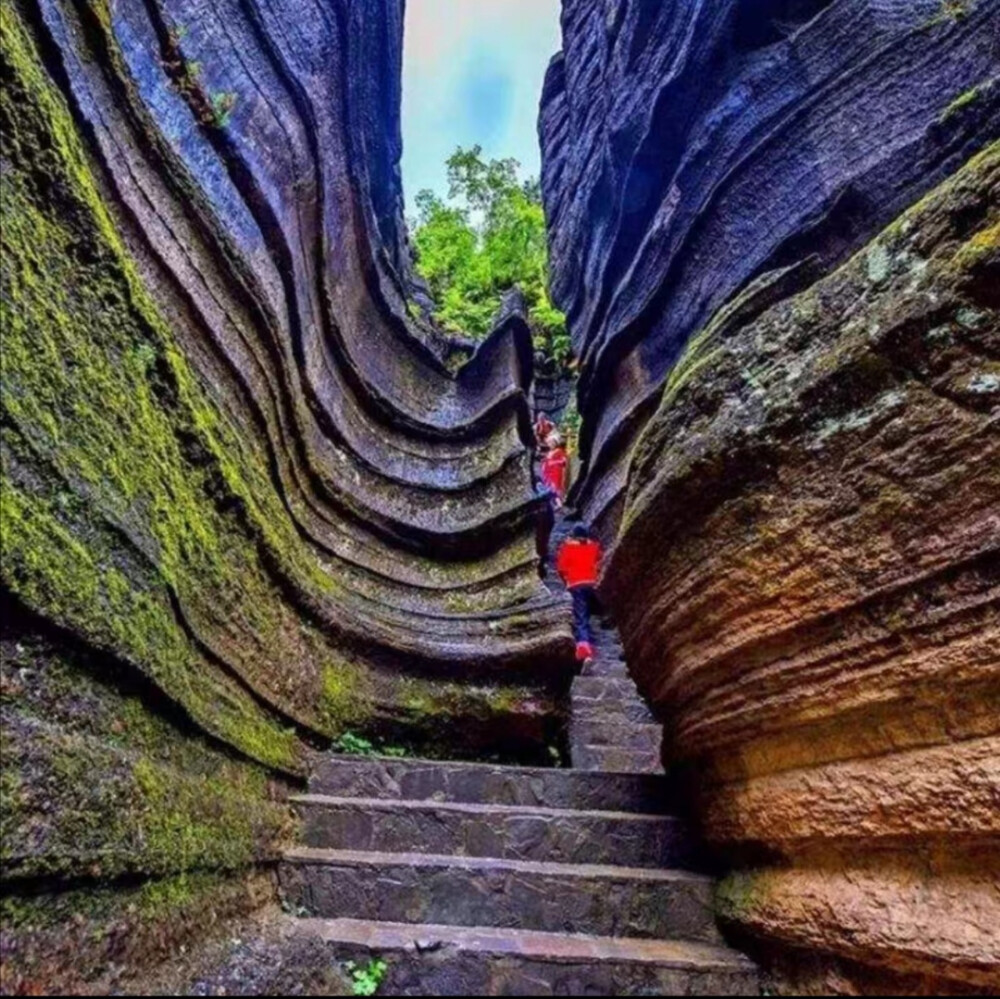 唯美风景