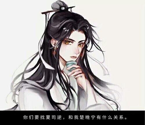 二哈和他的白猫师尊