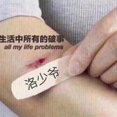 洛少爷