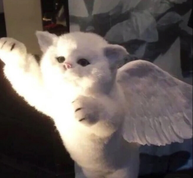 头像1动物头像1汪汪汪汪汪汪汪汪汪（狗语伤感语录）