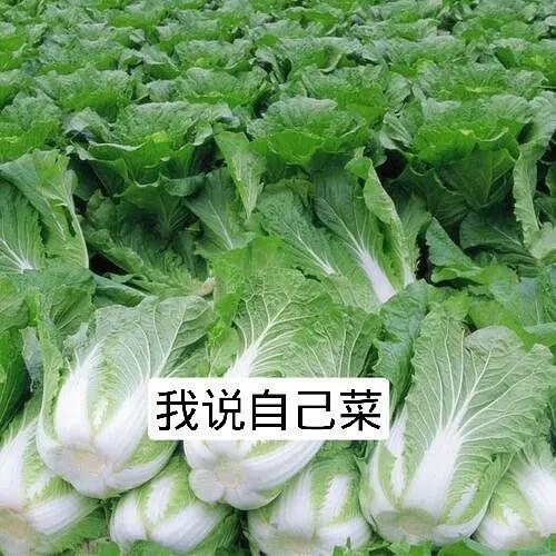 游戏表情包