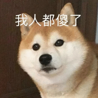 狗表情包