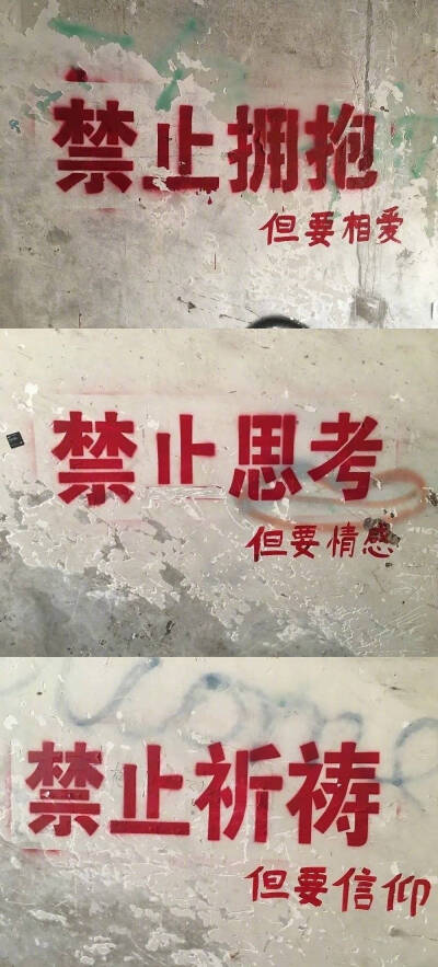 <壁纸>