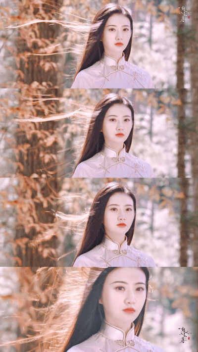 #司藤#
秦放×司藤｜壁纸
放肆疼你｜男仆女王初相逢
cr@一枝小鱼茗
#景甜##张彬彬# ​ ​​​