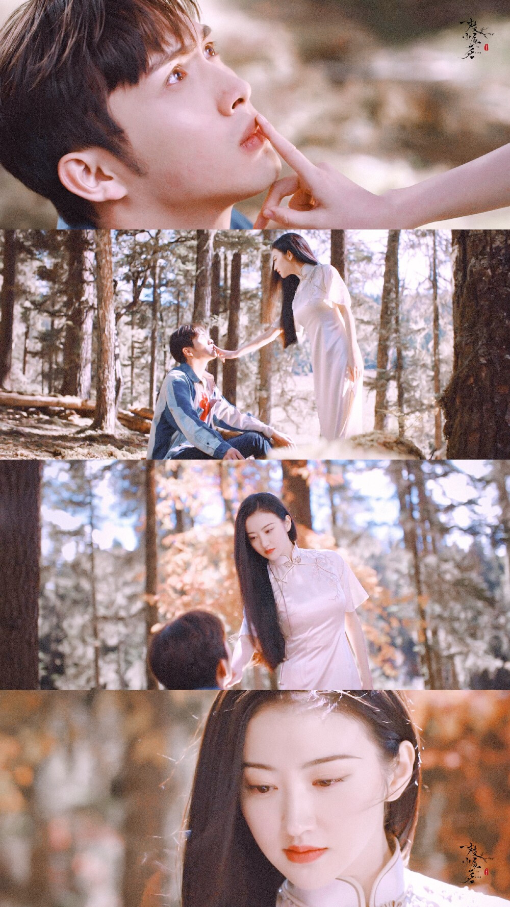 #司藤#
秦放×司藤｜壁纸
放肆疼你｜男仆女王初相逢
cr@一枝小鱼茗
#景甜##张彬彬# ​ ​​​